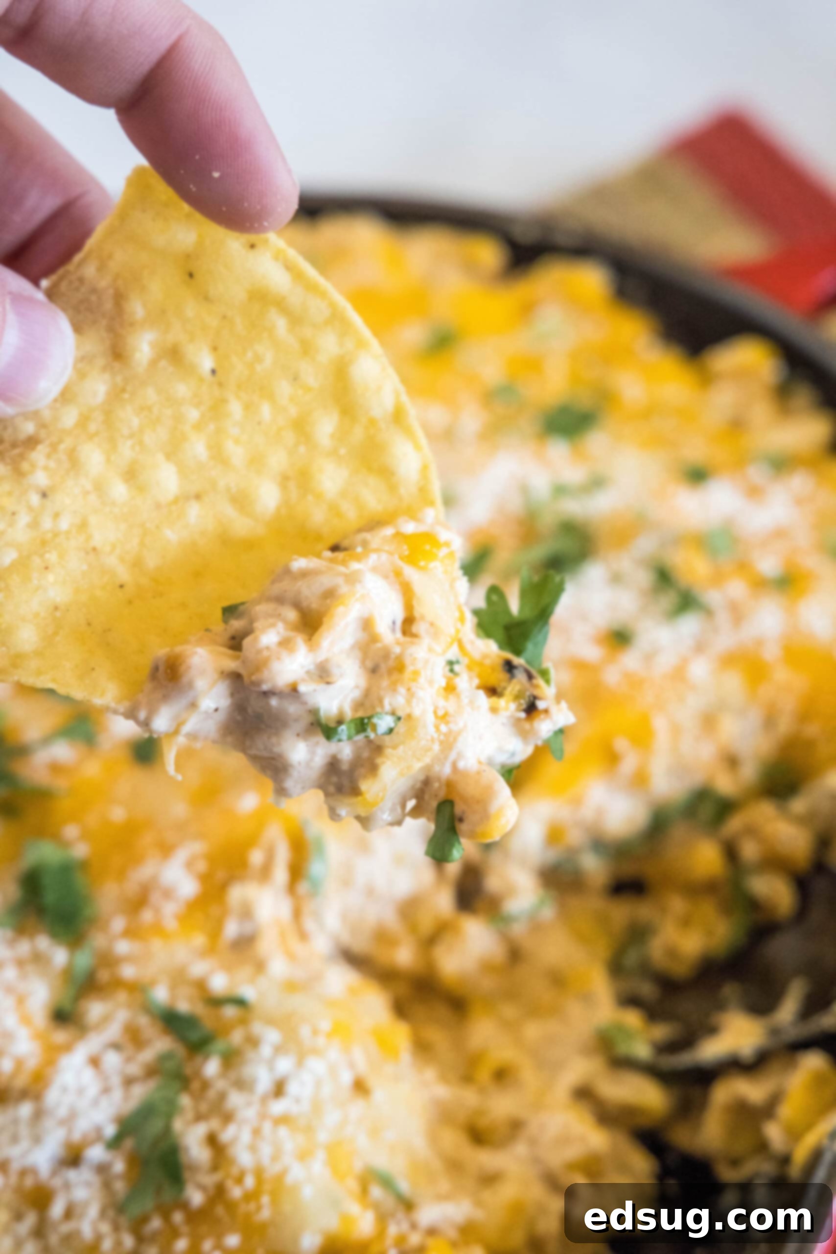 A hand dipping a tortilla chip into a skillet of cheesy street corn dip.