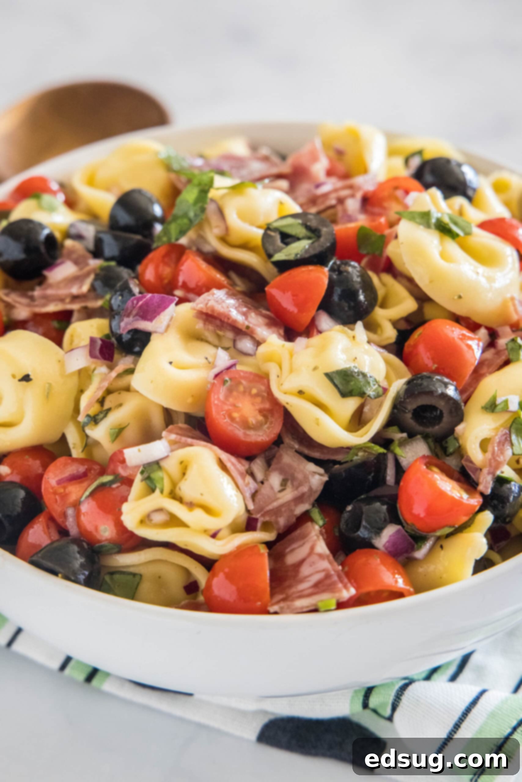 A vibrant tortellini pasta salad presented in an elegant white bowl, showcasing its fresh ingredients and rich colors, ready to be enjoyed.