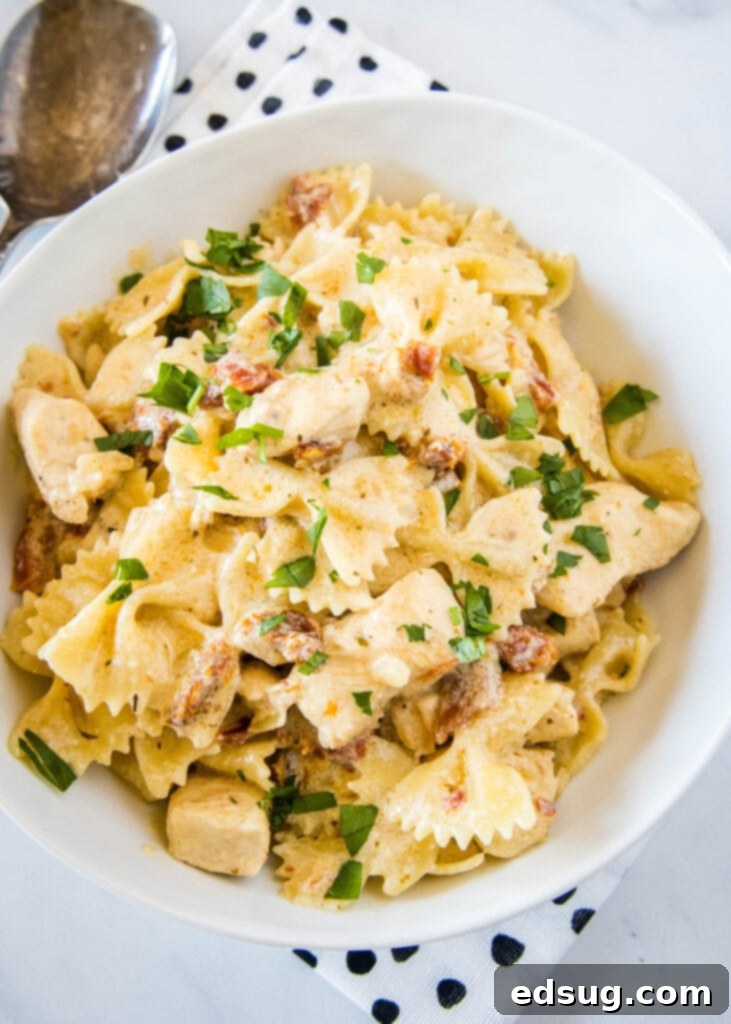 Sun Kissed Tomato Pasta 5 Overhead shot of a bowl of sun-dried tomato chicken pasta, garnished with fresh basil.