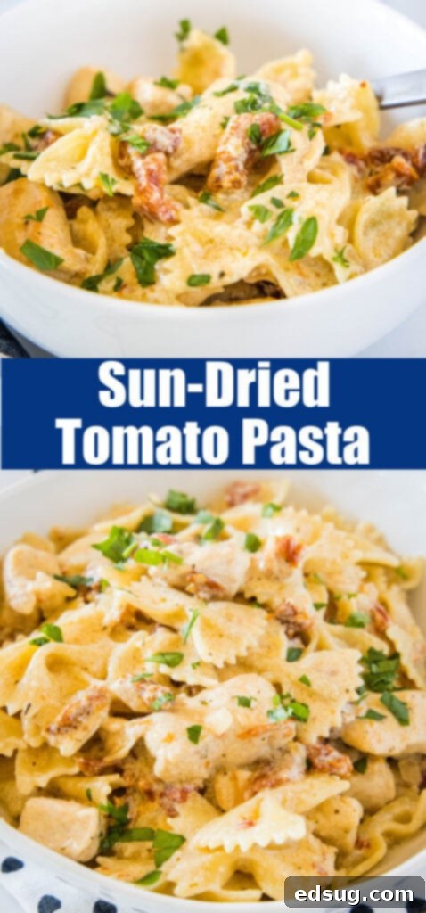 Sun Kissed Tomato Pasta 6 A close-up of a forkful of creamy sun-dried tomato chicken pasta, garnished with fresh basil.