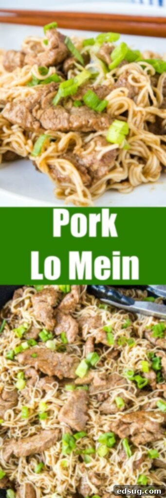 Five Spice Pork Lo Mein - Lo Mein is a classic take out dish, but this takes it up a notch.  Chinese Five Spice Powder gives tons of great flavor in this quick and easy dinner!