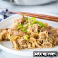 pork lo mein on a plate