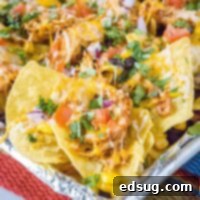 close up barbecue chicken nacho