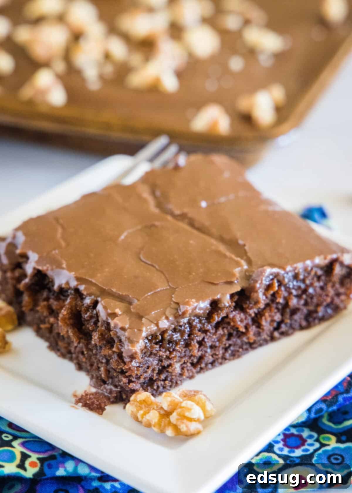 Irresistible Texas Sheet Cake 2 A generous slice of moist chocolate Texas Sheet Cake with warm chocolate frosting on a white plate, ready to be enjoyed.