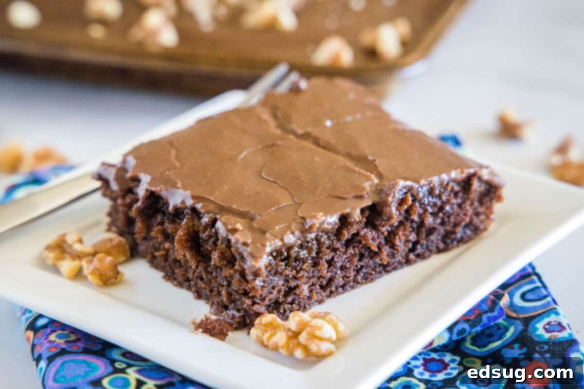 Irresistible Texas Sheet Cake 11 A generous slice of moist chocolate Texas Sheet Cake with warm chocolate frosting on a white plate, ready to be enjoyed.