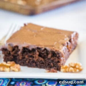 Irresistible Texas Sheet Cake 12 Close up shot of a slice of Texas Sheet Cake on a plate.
