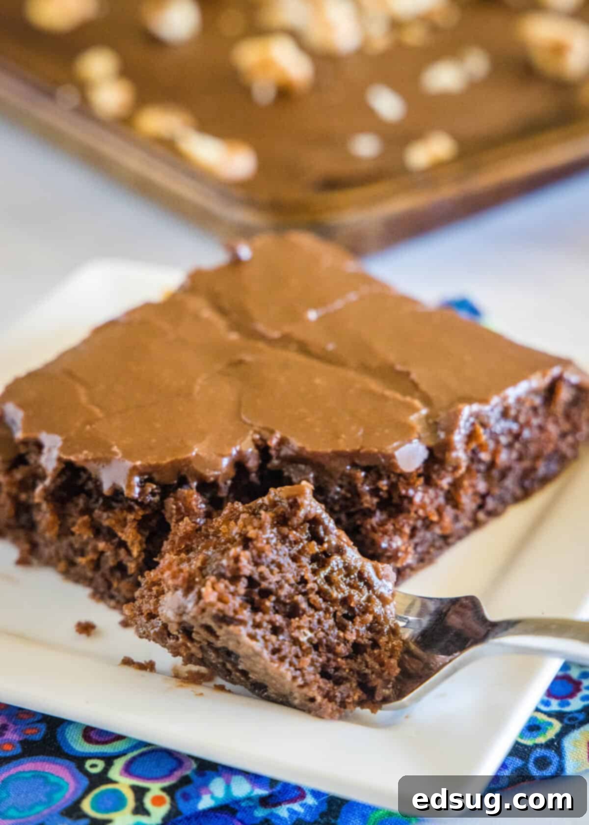 Irresistible Texas Sheet Cake 4 A delectable slice of Texas Sheet Cake with a fork, showing its moist texture and shiny chocolate frosting.