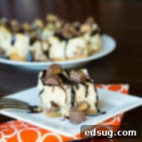 skinny cheesecake on a white plate