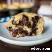 banana oatemeal chocolate chip muffins on a plate