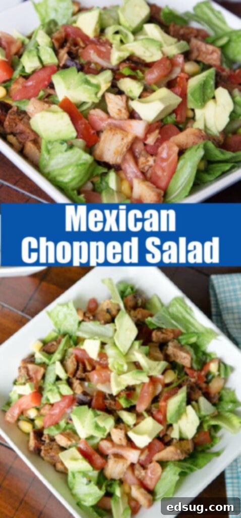 Mexican salad with chipotle dressing on the side in a small bowl