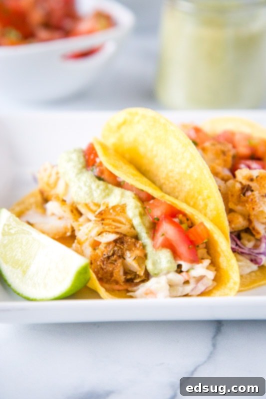 Zesty Fish Tacos 6 Beautifully arranged easy fish tacos on a white plate, ready to be enjoyed