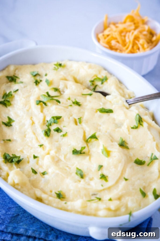 Ultimate Cheesy Mashed Potatoes 6 cheesy mashed potatoes in a baking dish topped with parsley