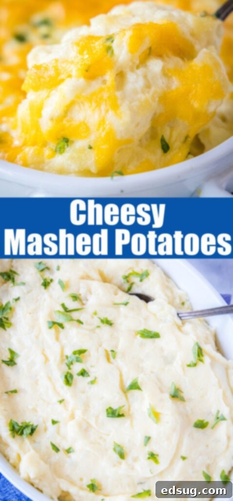 Ultimate Cheesy Mashed Potatoes 7 cheesy mashed potatoes close up for pinterest
