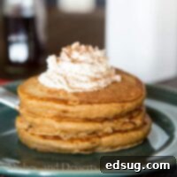 Spiced Gingerbread Pancakes 2 gingerbread pancakes on a plate