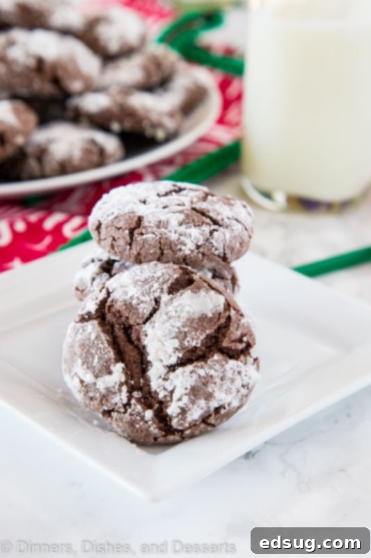 Snow-Dusted Chocolate Crinkles 2 A close up of freshly baked chocolate crinkle cookies, showcasing their cracked, powdered sugar coating