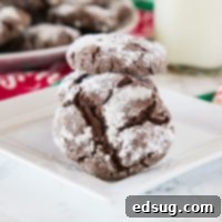 Snow-Dusted Chocolate Crinkles 6 Chocolate Crinkle Cookies - Rich and fudgy chocolate cookies coated in powdered sugar. A classic cookie that is perfect for the holidays or any time of year!
