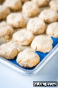 Decadent Chocolate Peanut Butter Truffle Cookies 9 peanut butter filling disks on a baking sheet