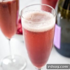 close up pomegranate mimosa