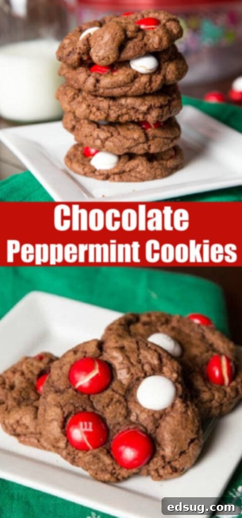 Peppermint White Chocolate Treats 2 A batch of perfect chocolate peppermint cookies with M&M's, ready for serving.