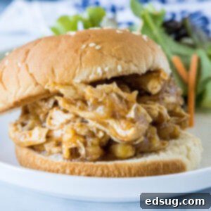 A slow cooker Hawaiian chicken sandwich on a plate, with a serving of green salad in the background.
