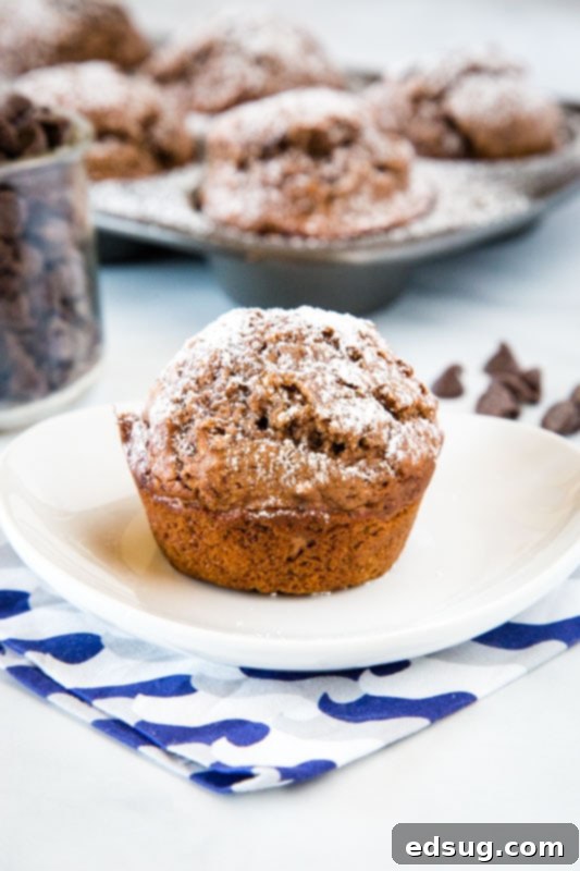 Decadent Triple Chocolate Muffins 3 These moist and tender triple chocolate muffins are perfect for stocking your freezer