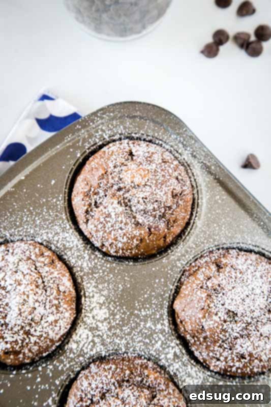 Decadent Triple Chocolate Muffins 4 Healthy chocolate muffins are a great breakfast you don't have to feel guilty about