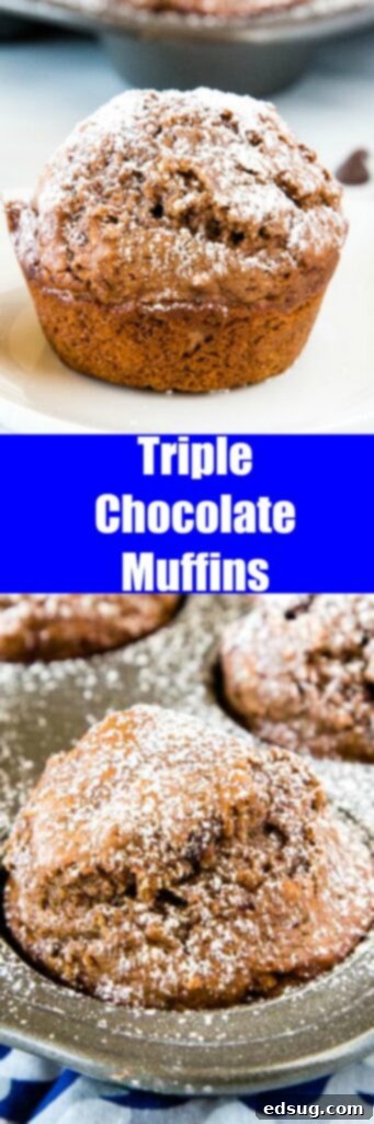 Decadent Triple Chocolate Muffins 5 Triple Chocolate Muffins - rich chocolate chocolate chip muffins that are moist, tender, and actually pretty good for you!