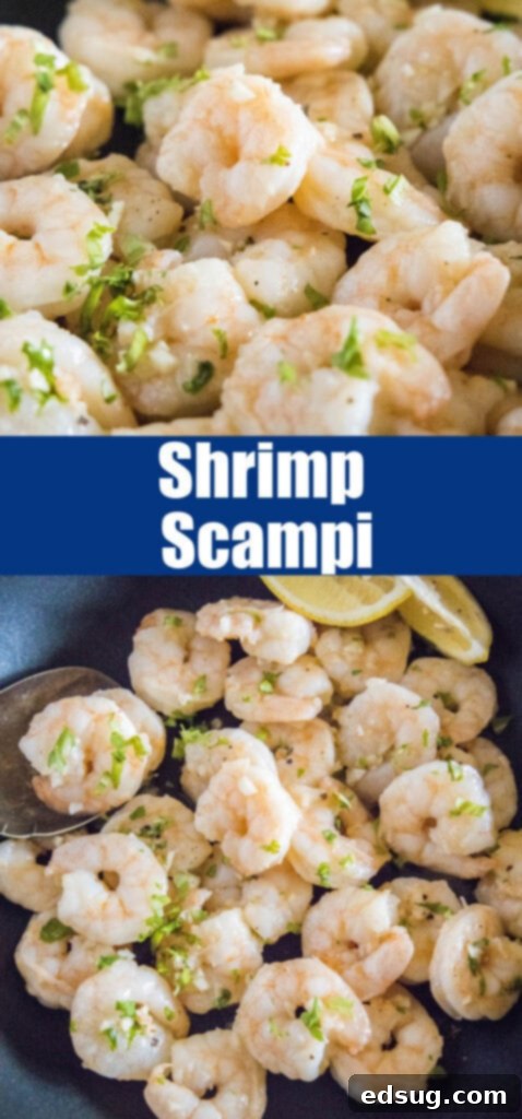 Zesty Garlic Butter Shrimp 6 close up cooked shrimp scampi in garlic butter