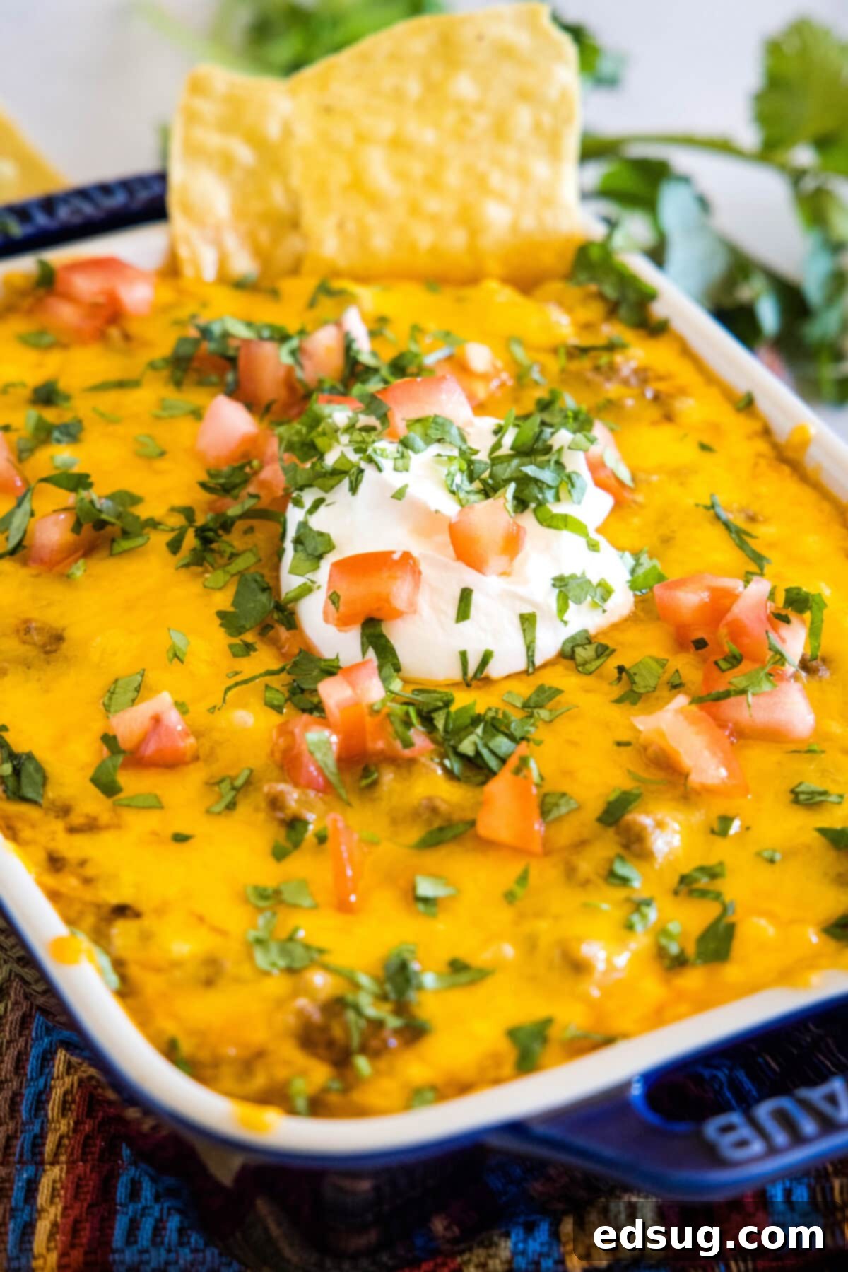 baked beef enchilada dip in baking dish