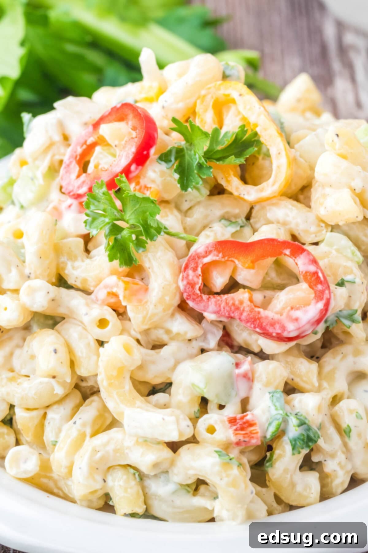 Creamy Macaroni Delight 5 close up easy macaroni salad in a white bowl