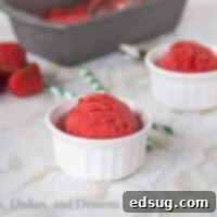 Strawberry Sorbet {Dinners, Dishes, and Desserts}