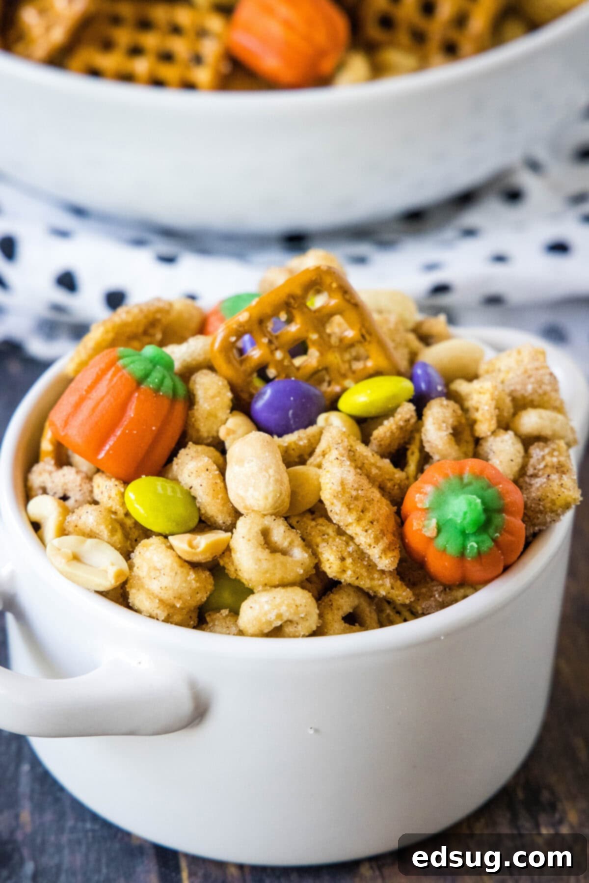 Cozy Pumpkin Spice Crunch 6 A small serving bowl filled with a generous portion of pumpkin spice snack mix, ready to be enjoyed.