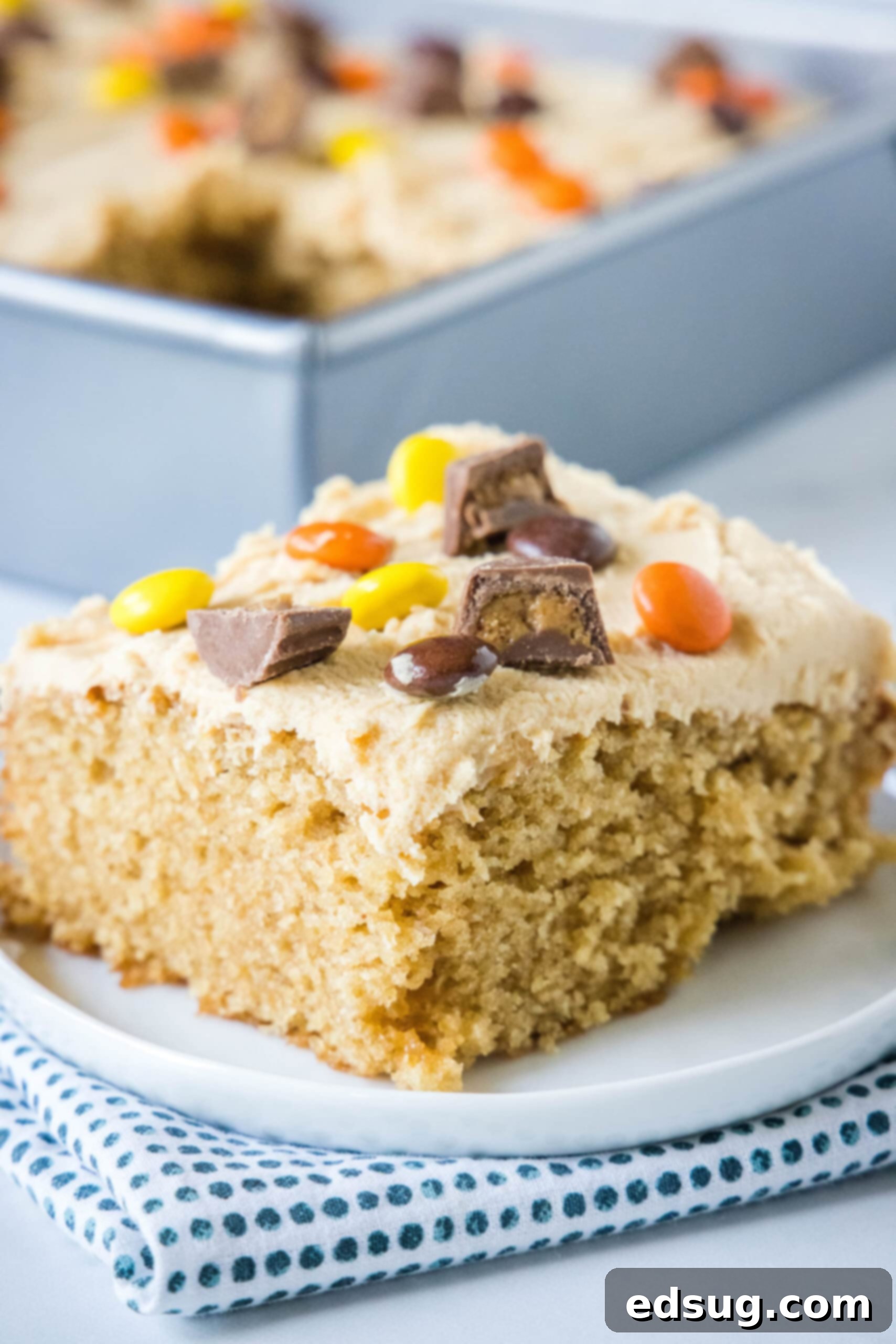 A perfectly sliced piece of moist peanut butter cake, generously frosted with creamy peanut butter frosting and topped with chopped Reese's peanut butter cups, presented on a white plate.
