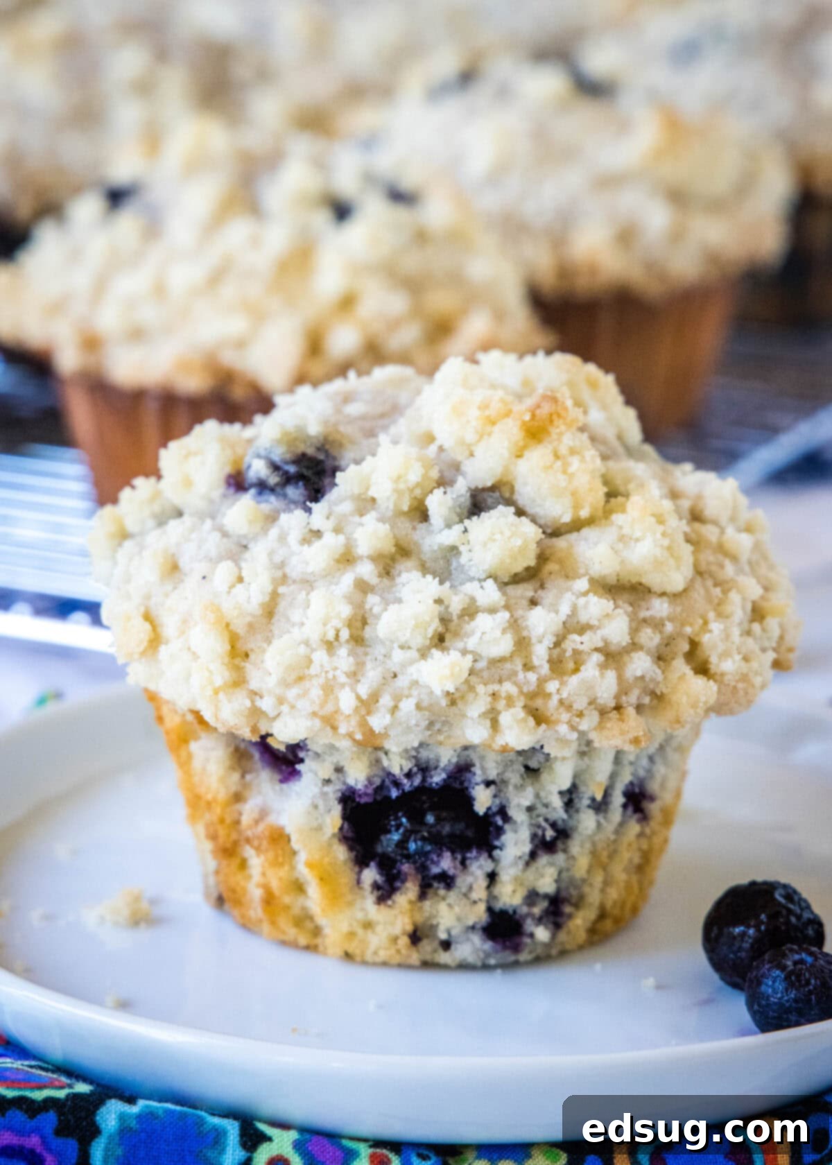 A perfectly baked bakery-style blueberry muffin on a white plate, showcasing its golden domed top and plump blueberries.