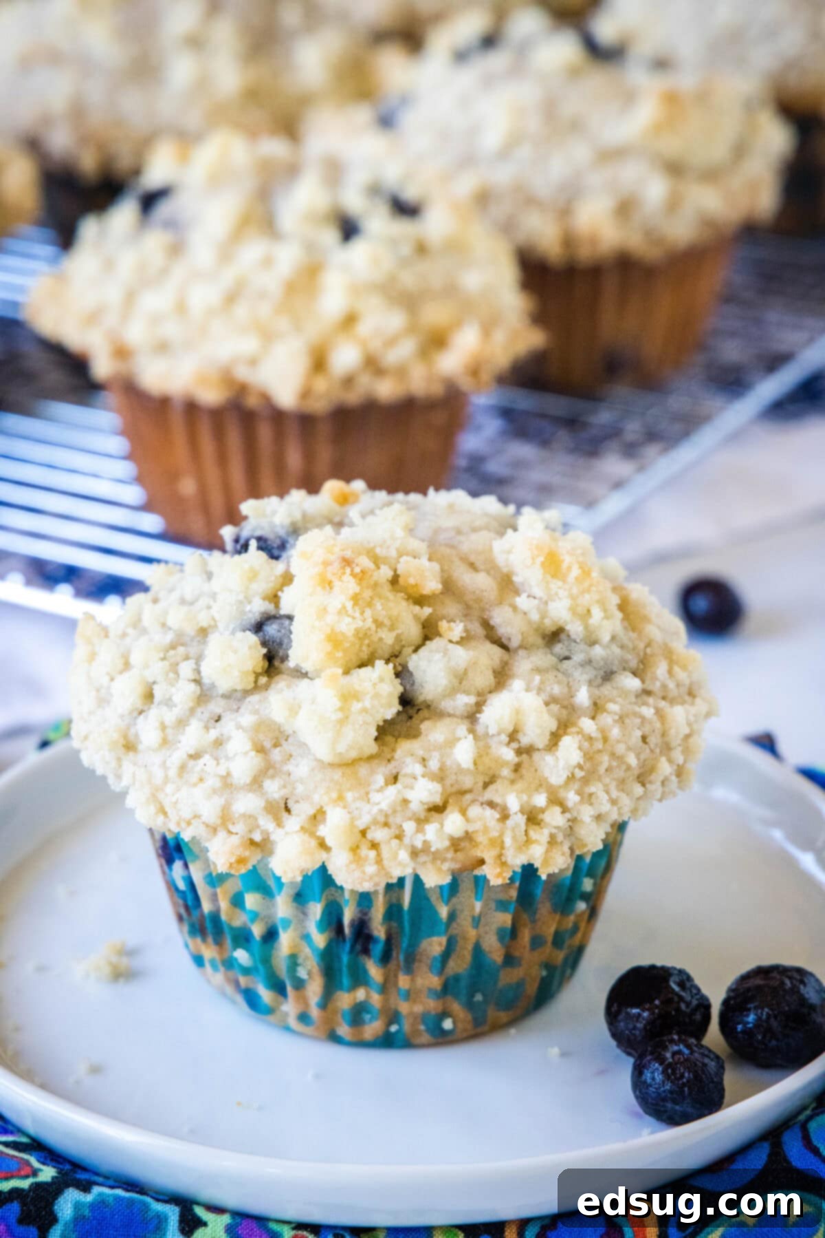 Overhead view of a beautifully baked bakery blueberry muffin with a delicate crumb topping, presented on a minimalist white plate.