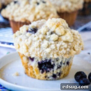 cropped close up blueberry muffin on a plate