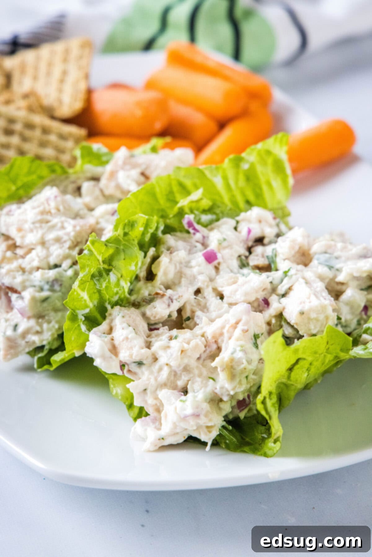 Healthy chicken salad served in crisp lettuce cups on a plate, highlighting its fresh and light presentation.