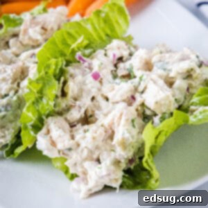 close up healthy chicken salad in lettuce cups on a plate