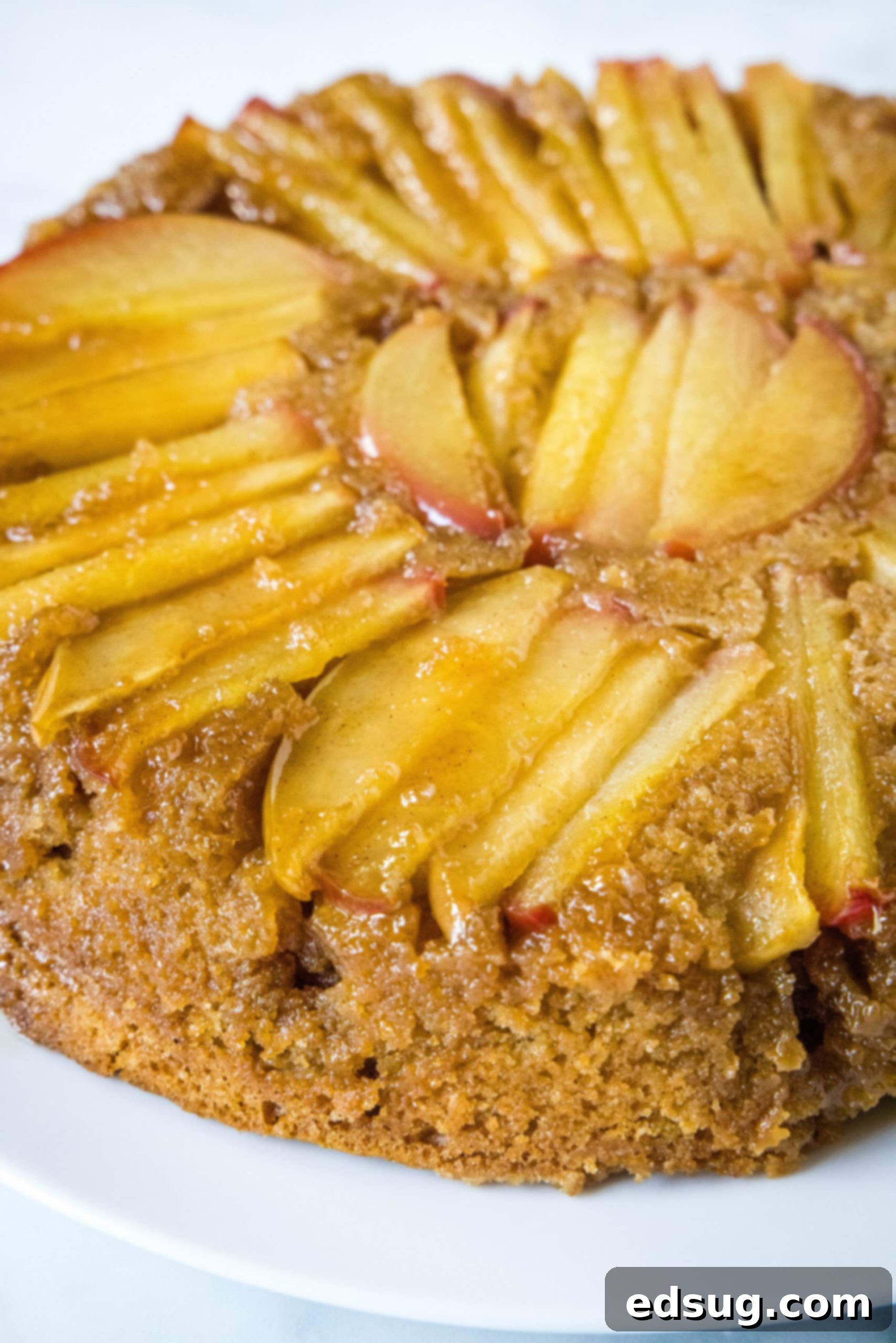 A whole, beautifully baked apple upside down cake resting elegantly on a pristine white plate, showcasing its golden caramelized apple topping.