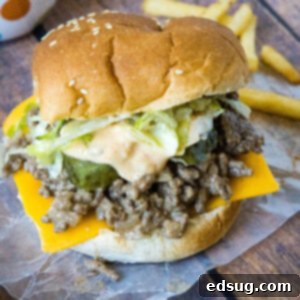 big mac sloppy joe close up