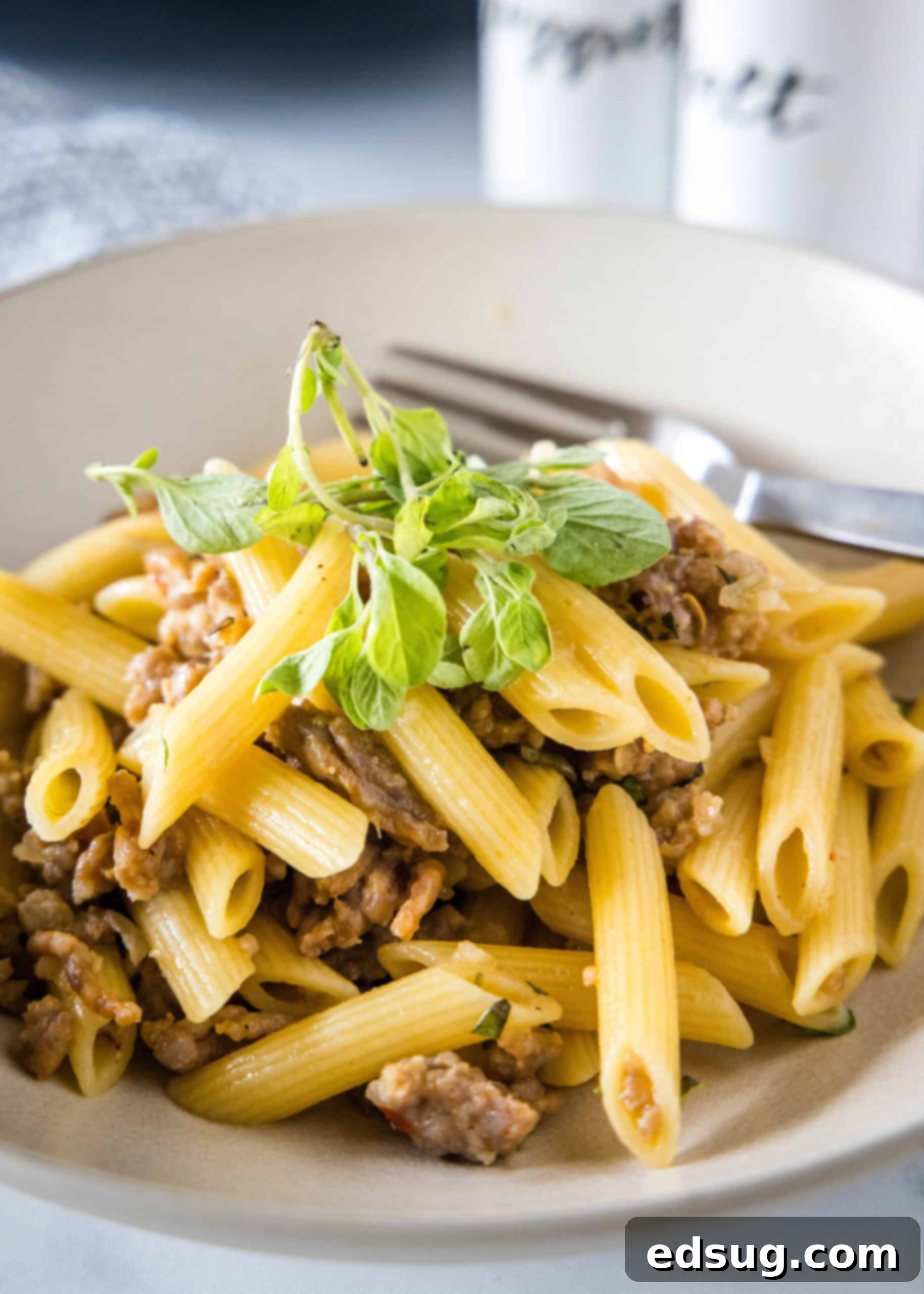 Creamy Pasta Risotto with Italian Sausage and Parmesan, a delicious one-pan meal. A vibrant bowl of creamy Pasta Risotto, garnished with fresh oregano leaves, with a fork ready to enjoy.