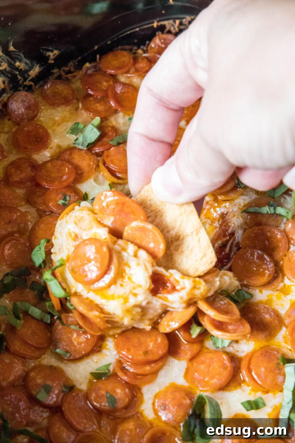 A scoop of Crock Pot Pizza Dip on a pita chip, showcasing the melted cheese and toppings