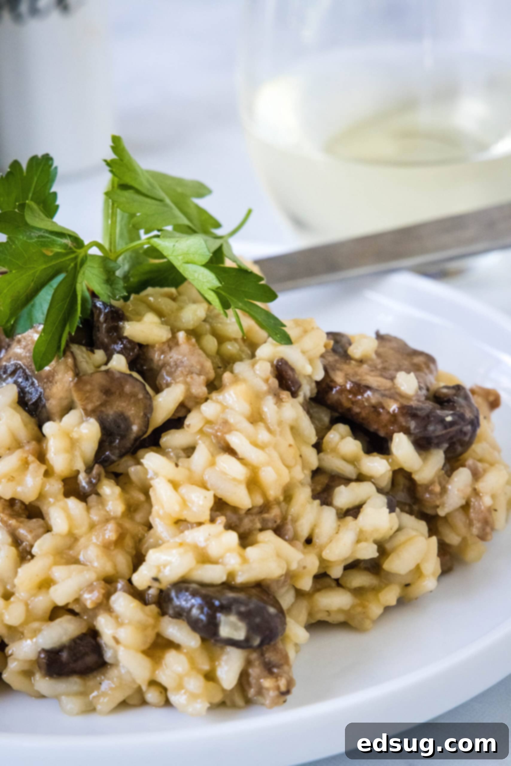 Close up of sausage risotto garnished with fresh parsley on a white plate.