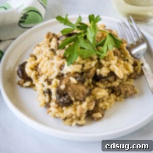 Sausage risotto garnished with fresh parsley on a white plate next to a fork.