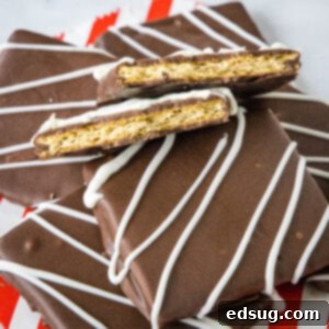 Decadent Chocolate Graham Delights 7 close up chocolate covered graham crackers with one cut in half