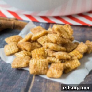 cropped close up churro chex mix on parchment paper