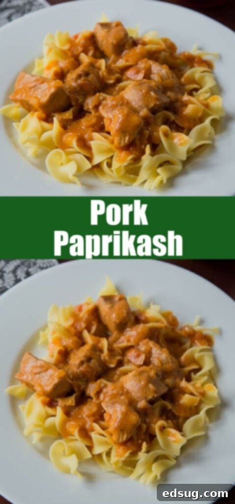 pork paprikash over egg noodles on a white plate