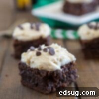 Fudgy Torrent Brownies 3 mudslide brownies on a board