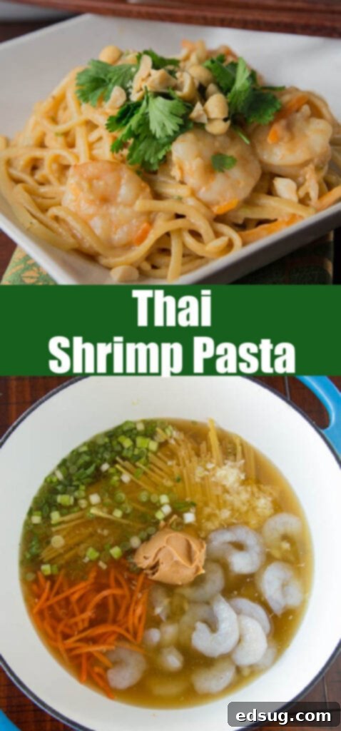 Easy One-Pot Thai Shrimp Pasta 2 Close-up of Thai shrimp pasta in a bowl with garnishes, perfect for Pinterest