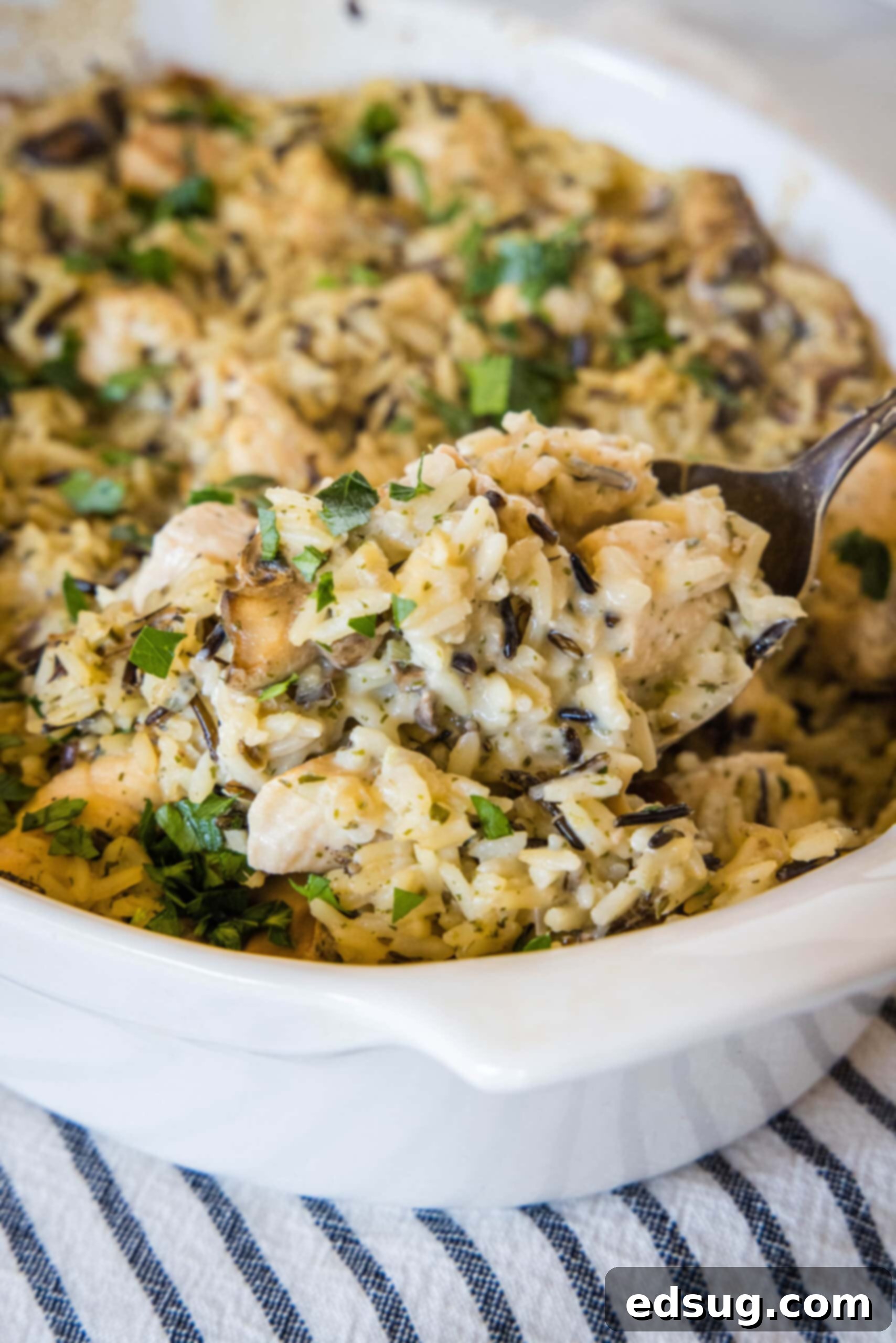 This chicken wild rice casserole is a hearty dinner loaded with juicy chicken, mushrooms, and nutty wild rice wrapped in creamy white sauce. A spoon scooping a serving from chicken wild rice casserole in a ceramic baking dish.